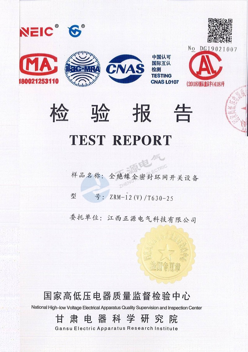 检验报告--全绝缘全密封环网开关设备